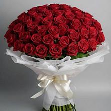 Букет 101 Красная роза Блэк Мэджик в Питкяранте