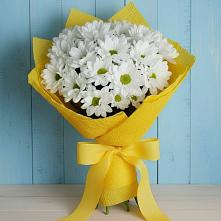 Букет цветов из:  Хризантемы #REPLACE_PRED# Питкяранте