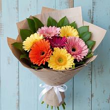 Букет цветов из:  Герберы в Питкяранте