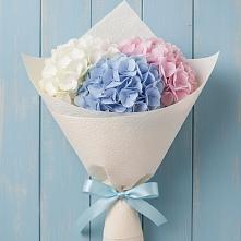 Букет цветов из:  Гортензия в Питкяранте