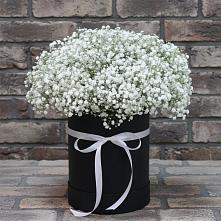 Цветочная композиция из Гипсофила в шляпной коробке #REPLACE_PRED# Питкяранте