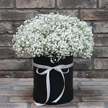 Цветочная композиция из Гипсофила в шляпной коробке в Питкяранте