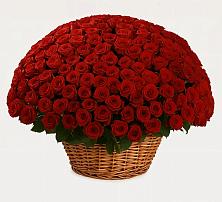 Премиум букет из: Розы в Питкяранте