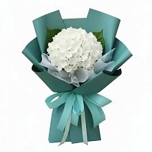Букет цветов из:  Гортензия в Питкяранте